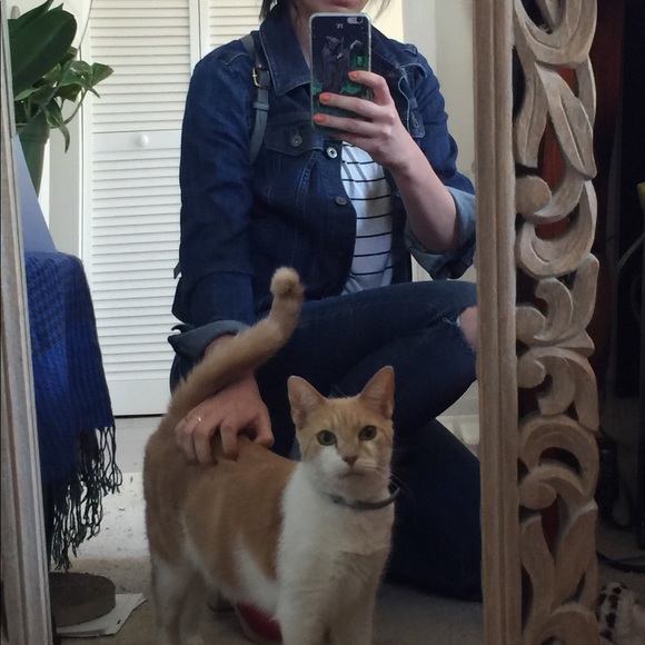 Meet your Posher, Chloe - Picture 3 of 4